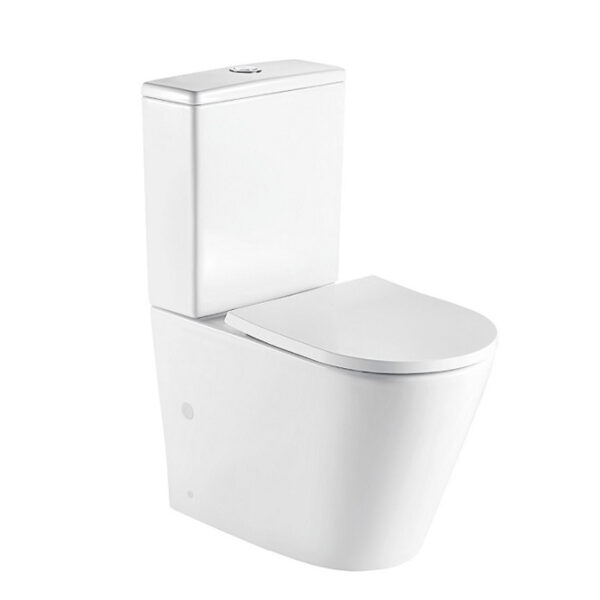 SA149 washdown 2 piece toilet