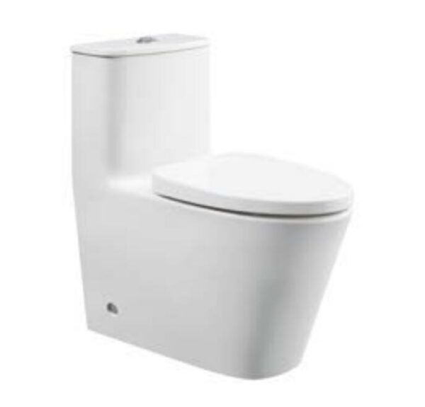 TB5010 rimless tornado flush toilet