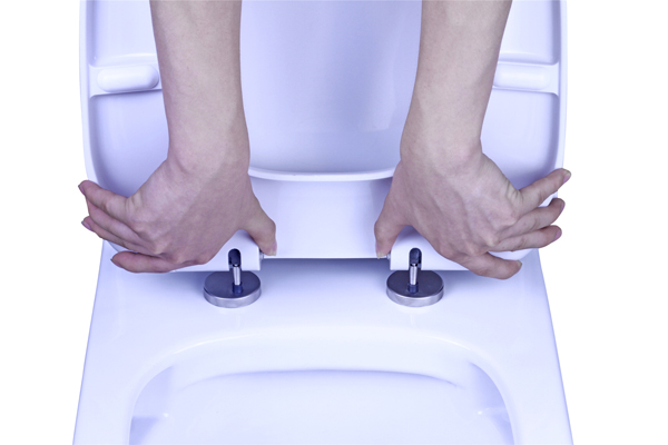 Step-by-step illustration of replacing a toilet seat cover.